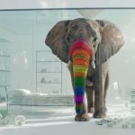 Aile kurumuna savaş açanlar deşifre oluyor: Gökkuşağı Faşizmi, 18 Ocak’ta yayında