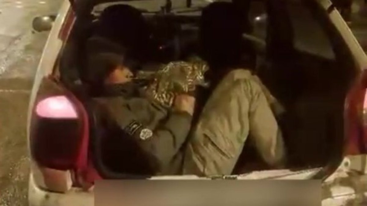 Amasya’da durdurulan araçtan 5 kaçak göçmen çıktı