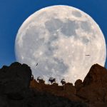 Anadolu Ajansı’nın ‘Yılın Kareleri’ oylaması başladı