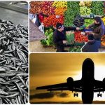 Aralık 2025’te fiyatı en fazla artan ürün ‘taze balık’ oldu