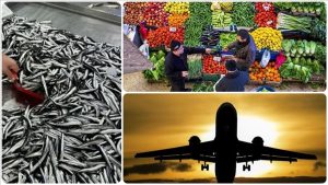 Aralık 2025’te fiyatı en fazla artan ürün ‘taze balık’ oldu