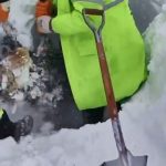 Artvin’de çığ bölgesinde arama kurtarma çalışmaları ikinci günde yeniden başladı