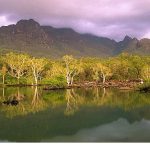 ‘Avustralya’nın Vahşi Ormanları’, 10 Ocak Cumartesi 20.00’de National Geographic WILD Ekranlarında!