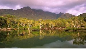 ‘Avustralya’nın Vahşi Ormanları’, 10 Ocak Cumartesi 20.00’de National Geographic WILD Ekranlarında!