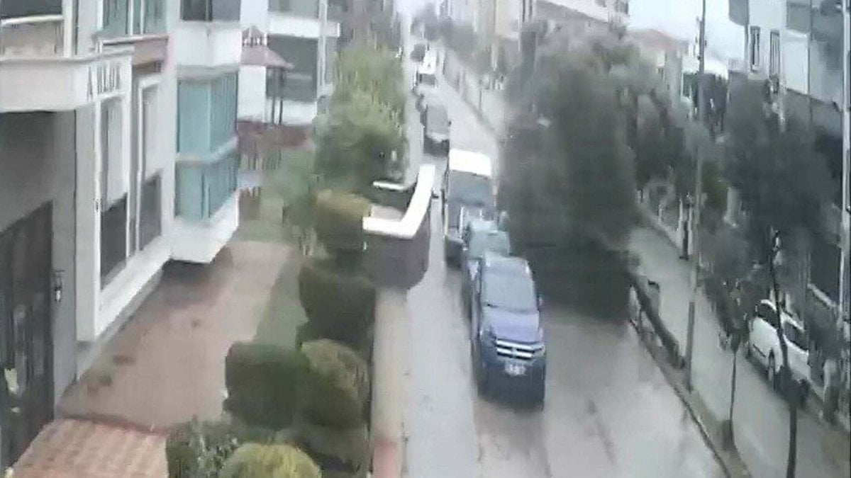 Aydın’da fırtınada kökünden sökülen ağaç devrildi