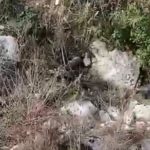 Balıkesir’den kayıp olarak aranıyordu: Cesedi Mersin’de bulundu