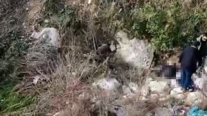 Balıkesir’den kayıp olarak aranıyordu: Cesedi Mersin’de bulundu