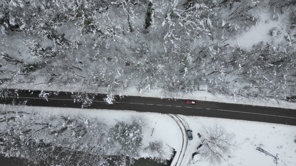 Bartın’da ağaçlı yolun büyüleyen manzarası