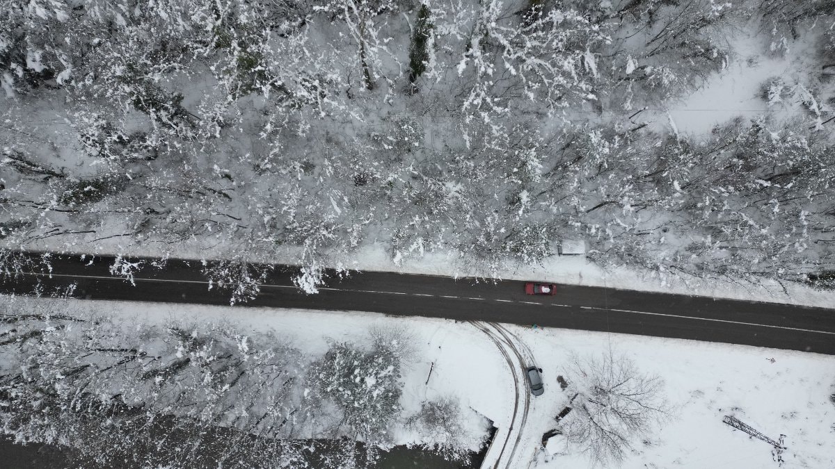 Bartın’da ağaçlı yolun büyüleyen manzarası