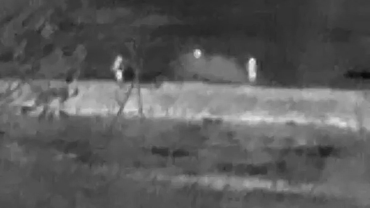 Bartın’da kaçak avcılar drone kameralarına yakalandı