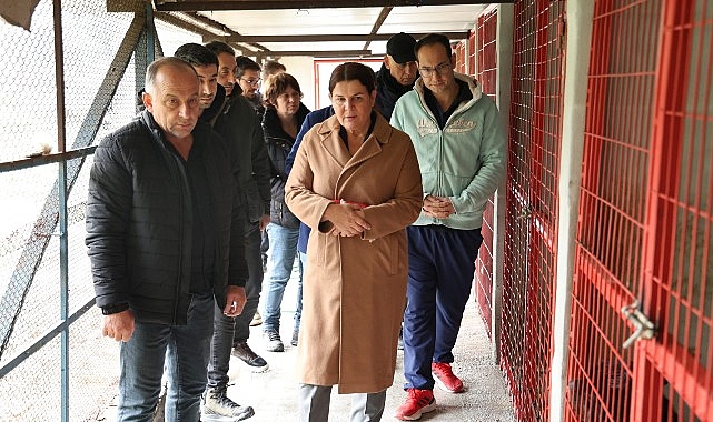 Başkan Fıçı hayvanseverlerle buluştu: Can dostlarımız yalnız değil!