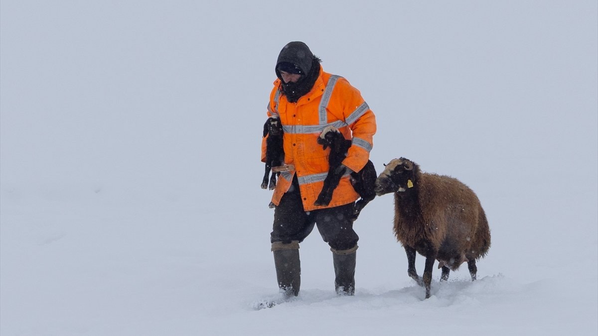 Bingöl Karlıova’da besicilerin kış mesaisi