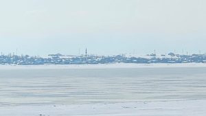 Bitlis kuş cenneti Arin Gölü dondu