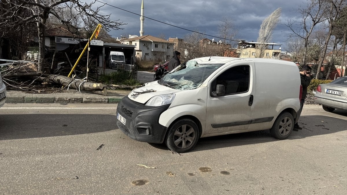 Bursa’da kuvvetli rüzgar: Ağaçlar devrildi