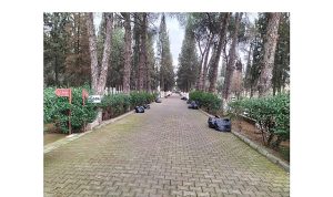 Büyükşehir Belediyesi Öncülüğünde Mezarlıklarda Yoğun Çalışma