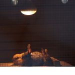 Büyükşehir Doğal Yaşam Parkı’nda kış tedbirleri