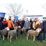 Büyükşehir’den çiftçilere 166 milyon TL’lik destek