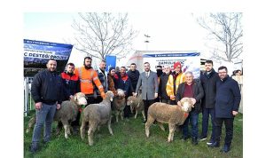 Büyükşehir’den çiftçilere 166 milyon TL’lik destek