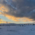 Çimsa, Bozüyük’te şehitliğe yakın sahadaki ruhsatı iptal ediyor