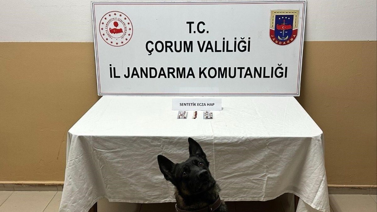 Çorum’da uyuşturucu hapla yakalanan 3 kişi gözaltına alındı