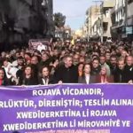 DEM Parti’den Suriye sınırında grup toplantısı: Yürüyüş yapıldı