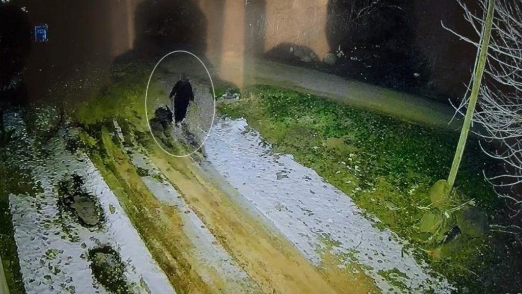 Diyarbakır’da kayıp kadının son görüntüsü ortaya çıktı