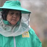 Düzceli kadın arıcı, baba mesleğini modern tekniklerle ileriye taşıdı