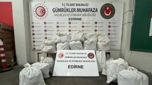 Edirne’de sınır kapısında narkotik operasyonu: 20,8 kilo esrar ele geçirildi