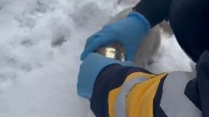 Elazığ’da kediyi, başına sıkışan konserve tenekesinden sağlıkçılar kurtardı