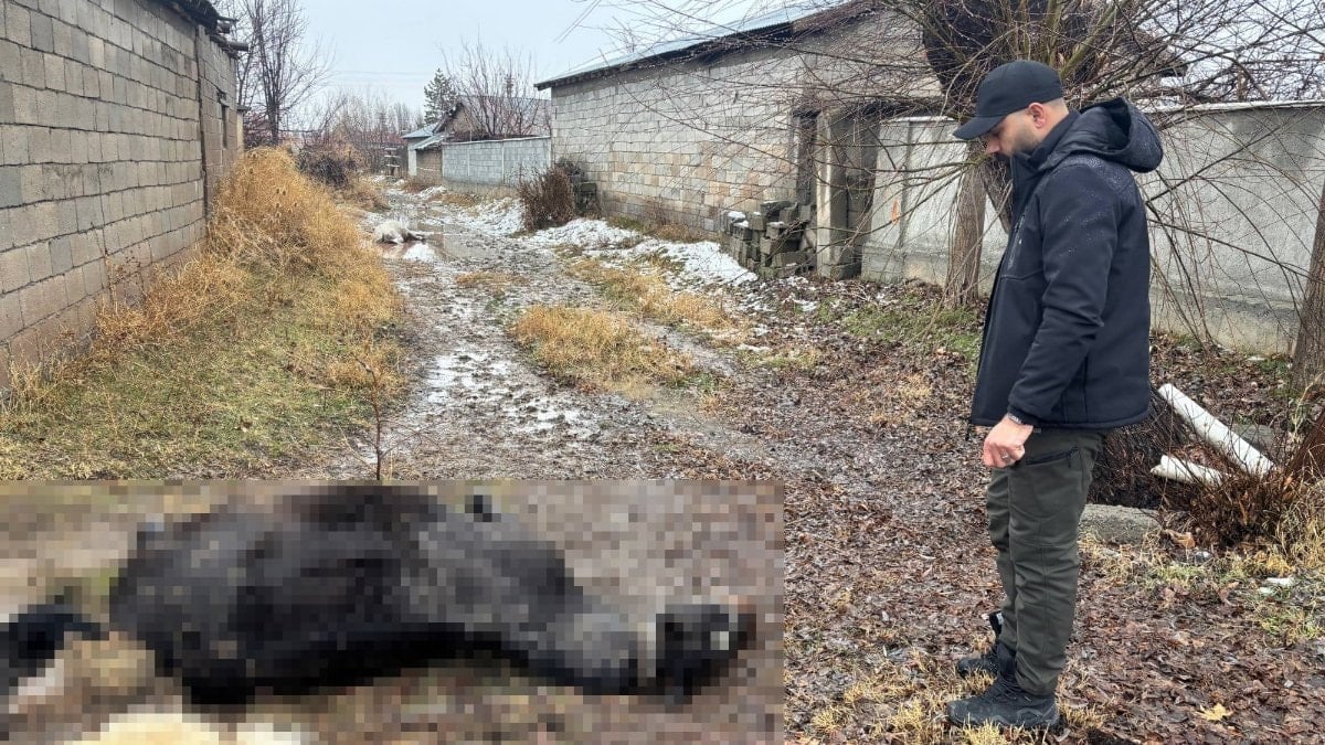 Erzincan’da at ve eşek silahla katledildi