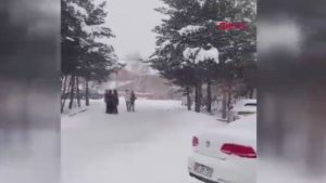 Erzurum’da kurt köpeği okul bahçesine girdi: 3 öğrenci yaralı