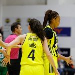 Fenerbahçe’den Nesibe Aydın’a 53 sayılık fark!