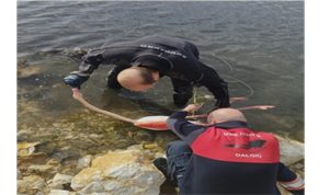 Flamingoya hayat veren kurtarma operasyonu