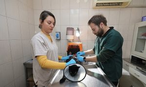 Gaziemir Belediyesi 6 bin 222 can dostun yaşamına dokundu