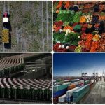 Gümrüklerde yeni düzenleme: Tarım ürünleri ithalatı