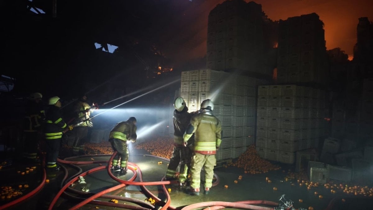 Hatay narenciye paketleme fabrikası alevlere teslim oldu
