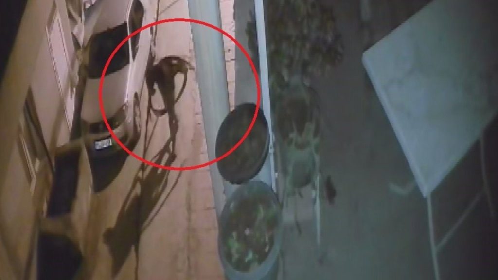 Hatay’da kablo hırsızları kameraya yakalandı