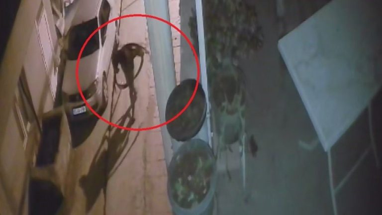 Hatay’da kablo hırsızları kameraya yakalandı