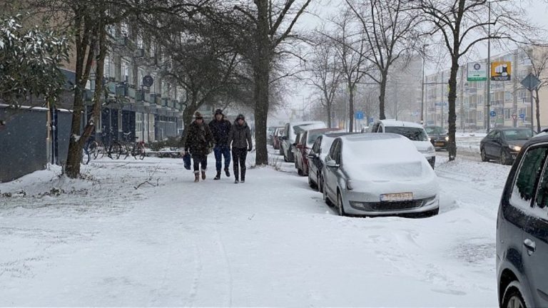 Hollanda kara teslim: Bin 50 uçuş iptal edildi