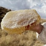 Ilgaz balı, satış rekoruyla Guinness’e girdi: Kilosu 11 bin 118 Euro