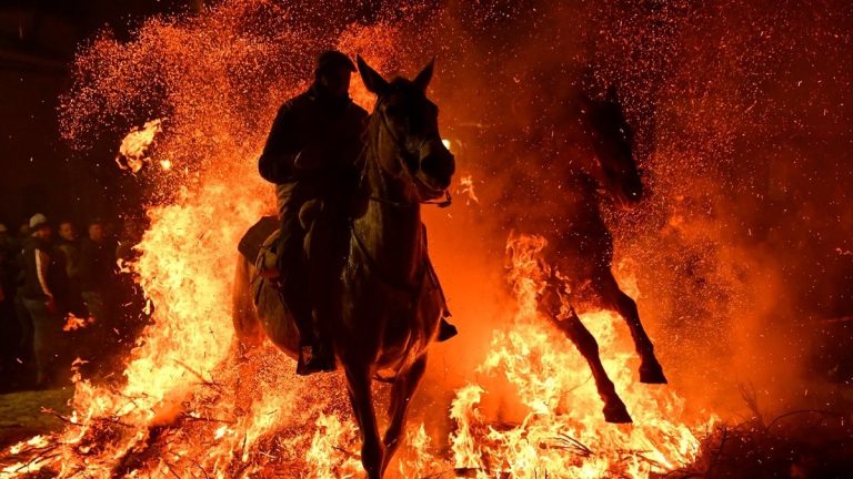 İspanya’da kutsanan atlar ateşin üzerinden atlatıldı