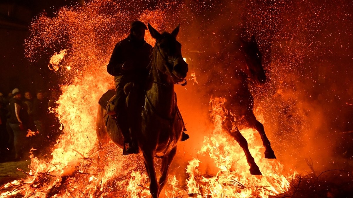 İspanya’da kutsanan atlar ateşin üzerinden atlatıldı
