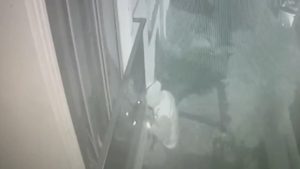 İstanbul’da eve girip anahtarı çaldı: Otomobile benzin alırken yakalandı