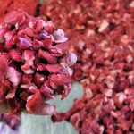 İstanbul’da PERDER üyesi marketler, Ramazan için et ve tereyağında fiyat sabitledi