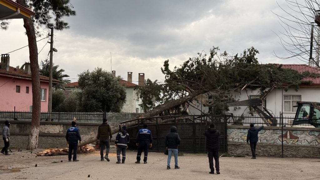 İznik’te lodos dehşeti: Dev ağaç okul bahçesine devrildi