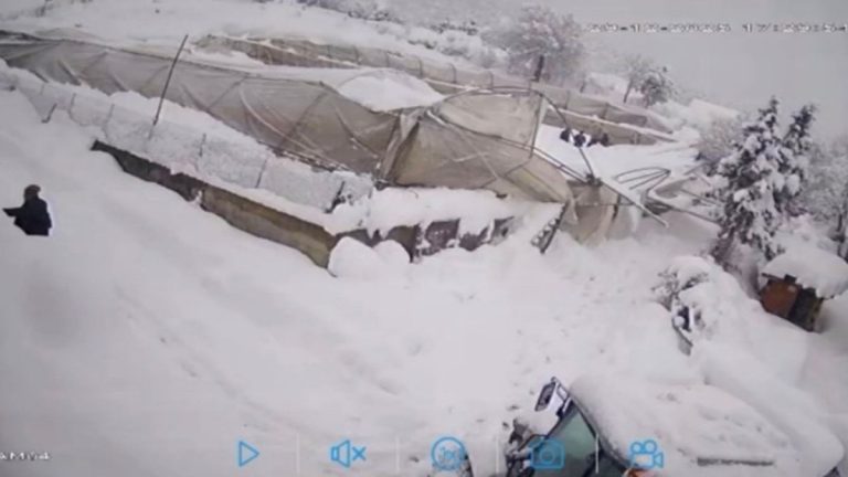 Karabük’te kar biriken sera çöktü