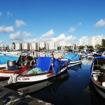 Kardeş Kadrajlar Uluslararası Fotoğraf Yarışması’na son başvuru 8 Şubat