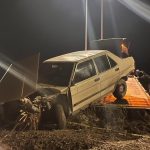 Konya’da yola çıkan domuz can aldı