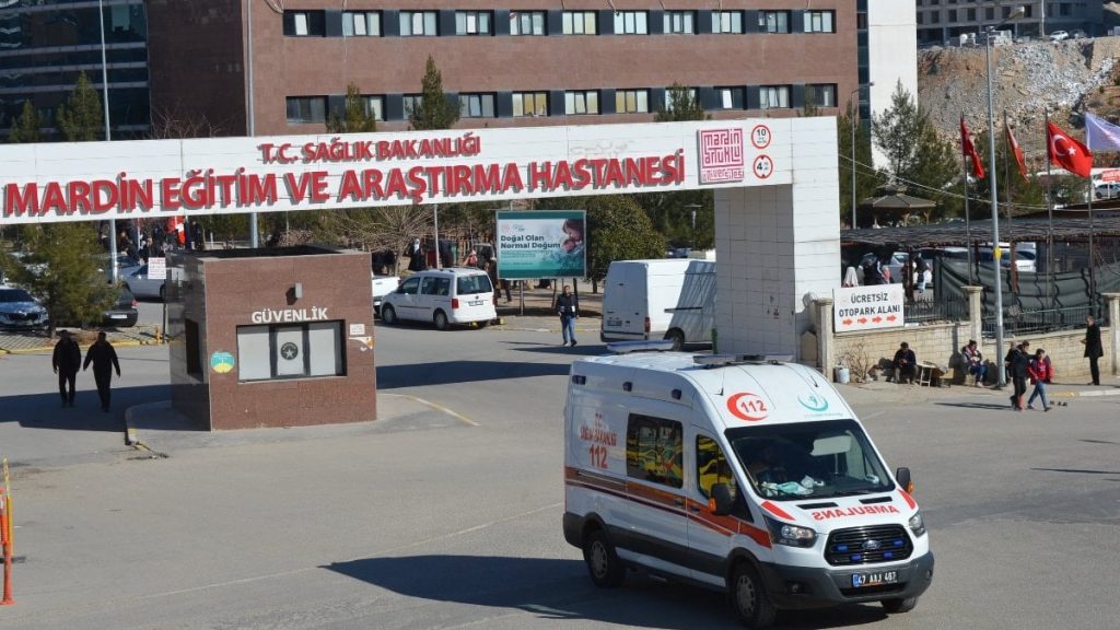 Mardin’de 4 yaşındaki Nazlı, sokak köpeklerinin saldırısına uğradı