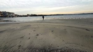 Marmara Denizi’nde endişelendiren görüntü: 50 metre çekildi